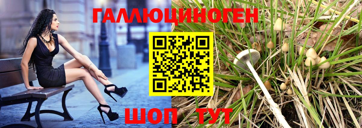 Псилоцибиновые грибы GOLDEN TEACHER Стрежевой